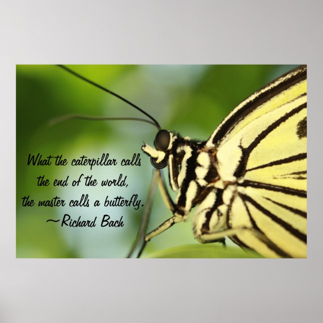 Butterfly Master Poster (Front)