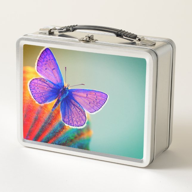 Butterfly Metal Lunch Box (Front)