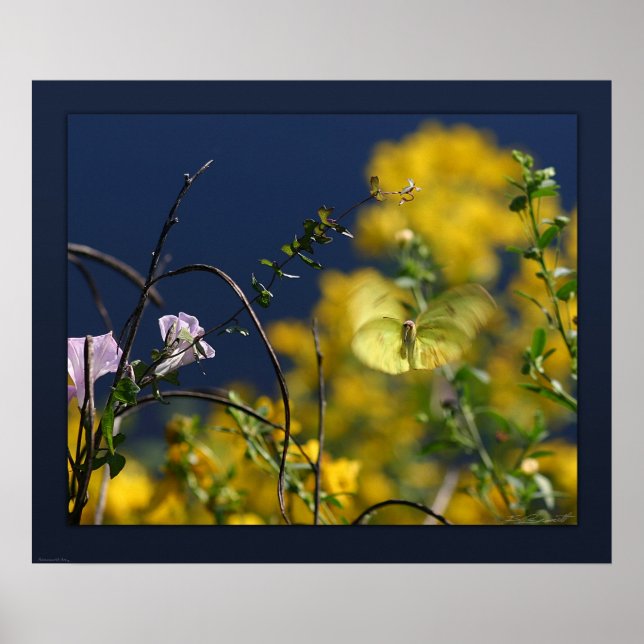 Butterfly Moment Canvas Print -24x20 -or smaller (Front)