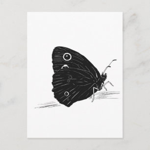 Butterfly Monochrome Postcard