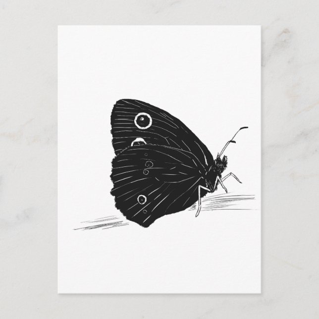 Butterfly Monochrome  Postcard (Front)