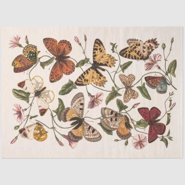 Butterfly & Moth by Paul Gervais Tissue Paper (Front)