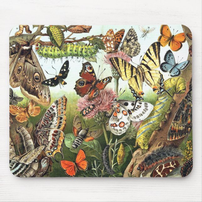 Butterfly Moth Caterpillar Wildlife Bugs Mousepad (Front)