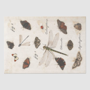 Butterfly Moth Dragonfly Ladybug Insect Parchment  Tissue Paper