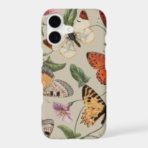 Butterfly Moth Nature Collection Drawing