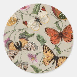 Butterfly Moth Nature Collection Drawing Classic Round Sticker
