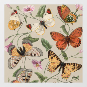 Butterfly Moth Nature Collection Drawing Window Cling