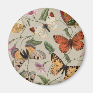 Butterfly Moth Nature Drawing antique watercolor Magnet