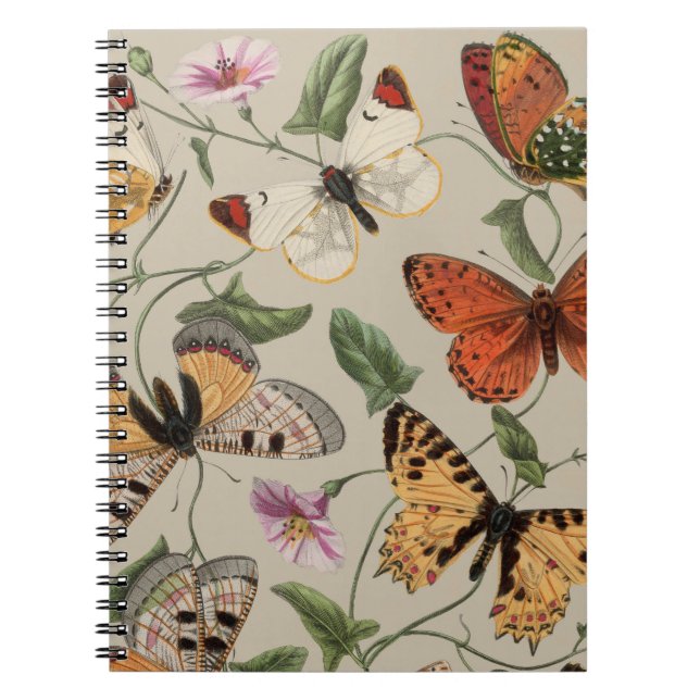 Butterfly Moth Nature Drawing antique watercolor Notebook (Front)