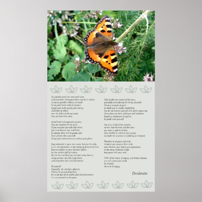 Butterfly Motivational Desiderata Poster (Front)