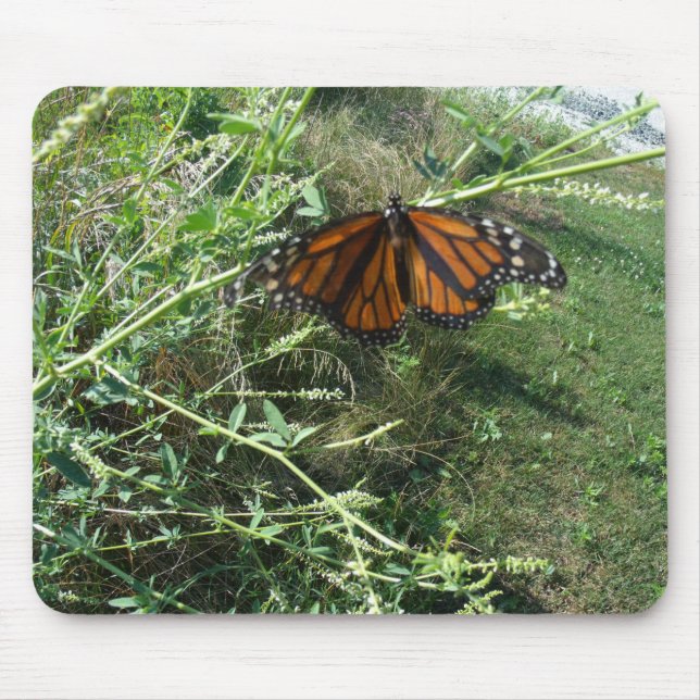 Butterfly Mouse Mat (Front)