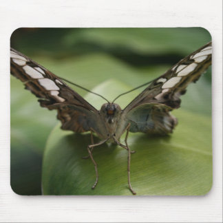 Butterfly Mouse Mat