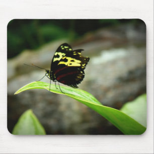 Butterfly Mouse Mat
