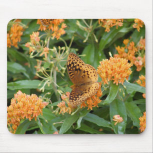 butterfly mouse mat