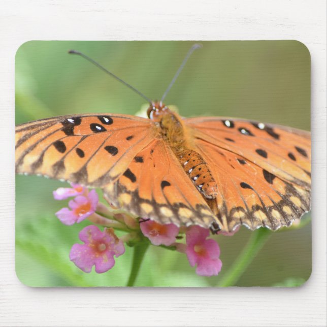 Butterfly Mouse Pad (Front)