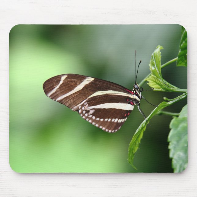 Butterfly Mousepad (Front)