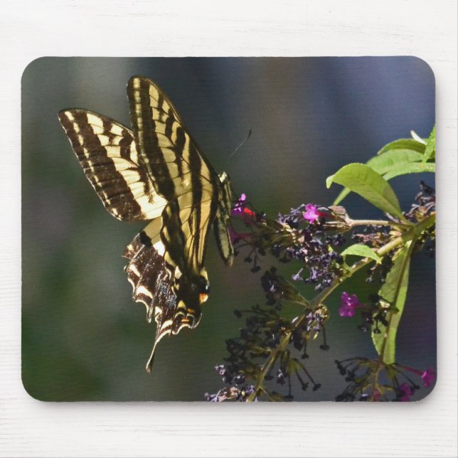 Butterfly Mousepad (Front)