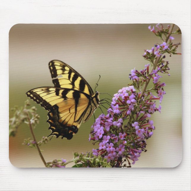 Butterfly Mousepad (Front)