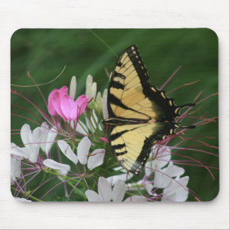 Butterfly Mousepad