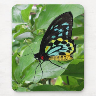 Butterfly Mousepad! Mouse Mat