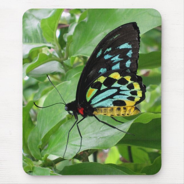 Butterfly Mousepad! Mouse Mat (Front)
