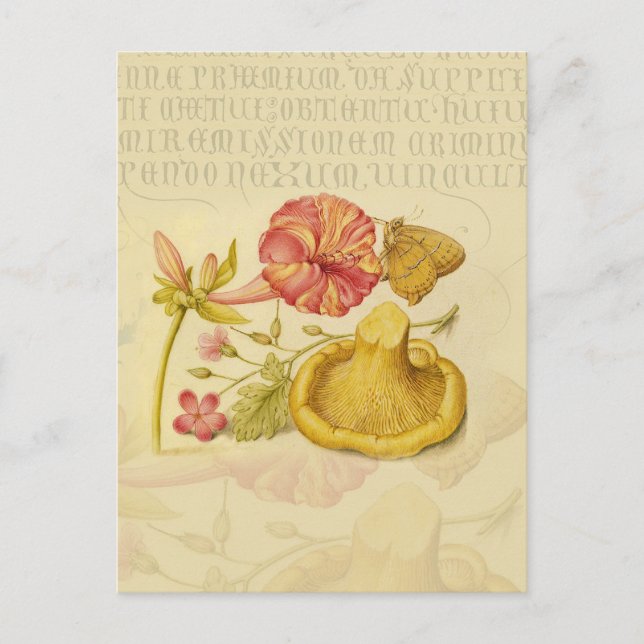 Butterfly Mushroom Flower Watercolor Painting Postcard (Front)