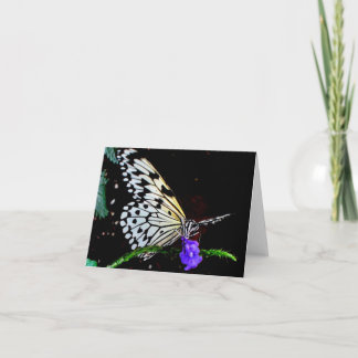 Butterfly Note Card