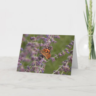 Butterfly Note Card