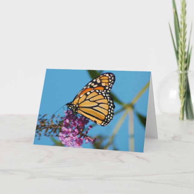 Butterfly Note Cards (Front)