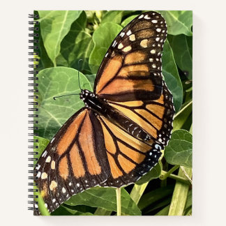 Butterfly Notebook