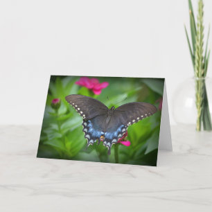 Butterfly Notecard
