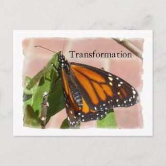 Butterfly Of Transformation Postcard