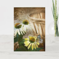 Butterfly On a Cone Flower Birthday 