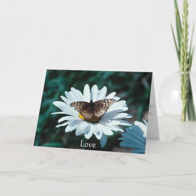 Butterfly on a daisy card (Front)