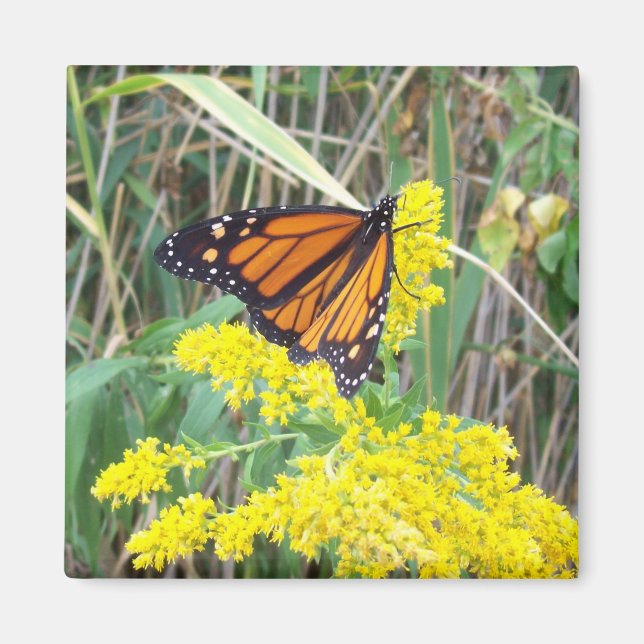 Butterfly on a flower magnet (Front)