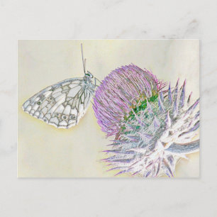 Butterfly on a red flower postcard