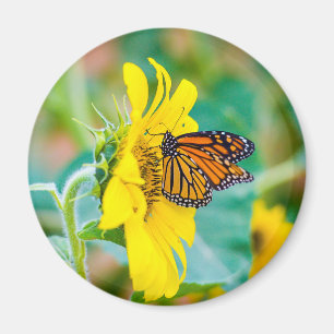 Butterfly on a Sunflower Magnet