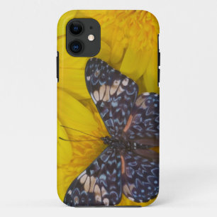 Butterfly on a Yellow Flower iPhone 11 Case