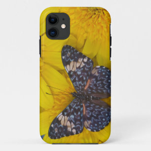 Butterfly on a Yellow Flower iPhone 11 Case