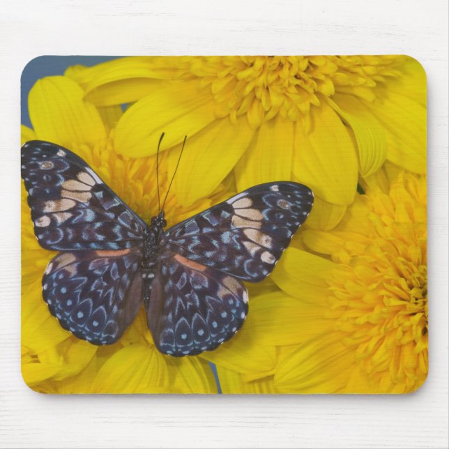 Butterfly on a Yellow Flower Mouse Mat (Front)