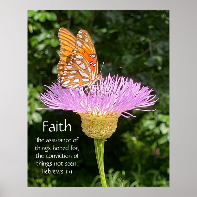 Butterfly on Basketflower, with Verse on Faith Poster (Front)