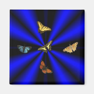 Butterfly on black and blue rainbow magnet
