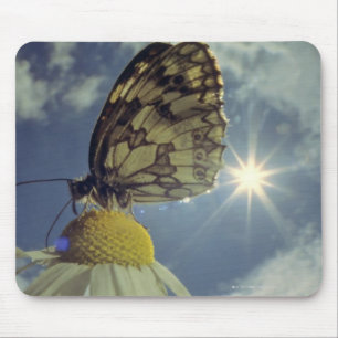 Butterfly on camomile flower with sun, mouse mat
