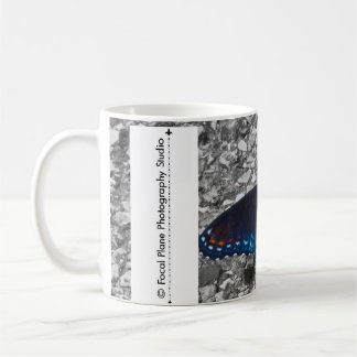 Butterfly on Concrete Coffee Mug