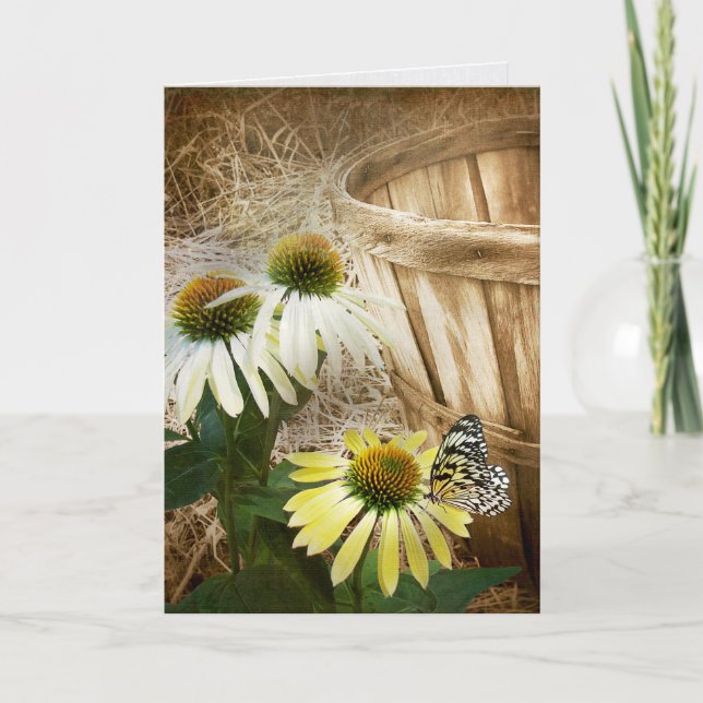 Butterfly On Cone Flower Card (Front)