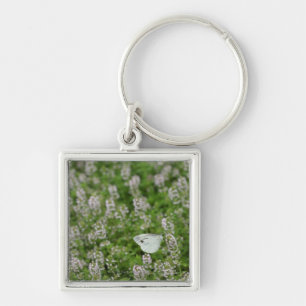Butterfly on Creeping Thyme Key Ring