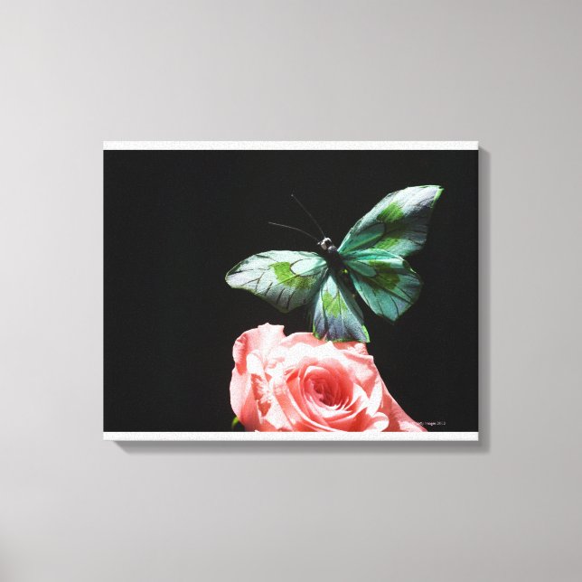 Butterfly on flower 2 canvas print (Front)