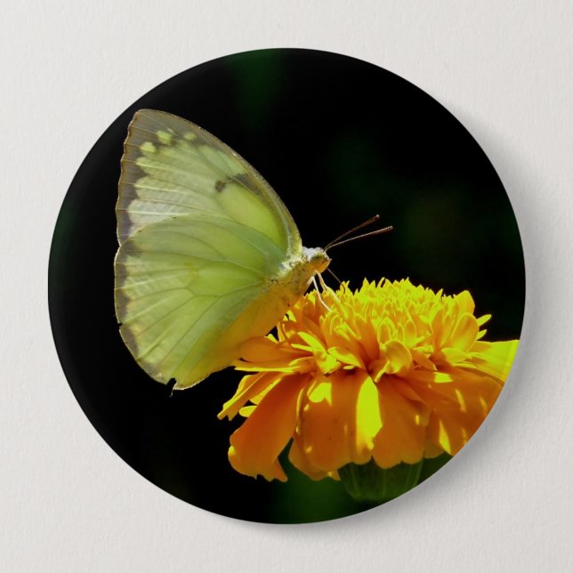 Butterfly On Flower Button Pin (Front)