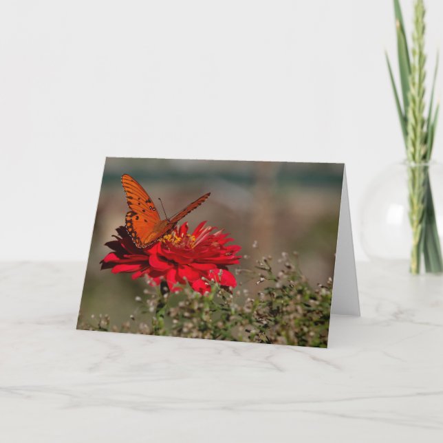 Butterfly on Flower Card (Front)