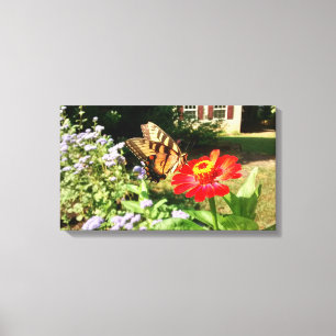 Butterfly on Flower in Front of House - Horizontal Canvas Print